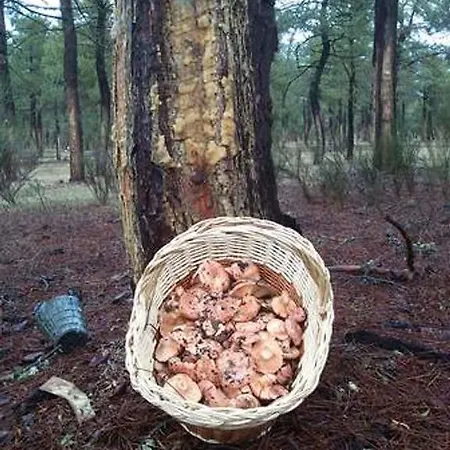 Сasa de vacaciones La Gala *