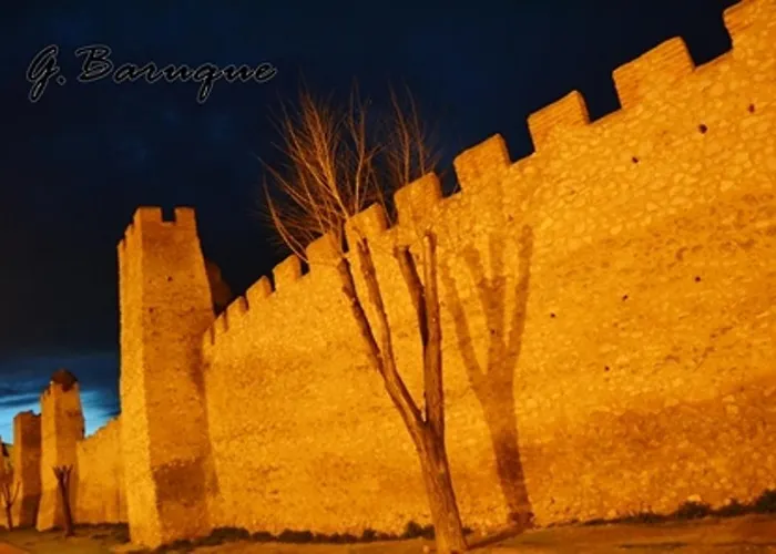 La Gala Holiday home Olmedo