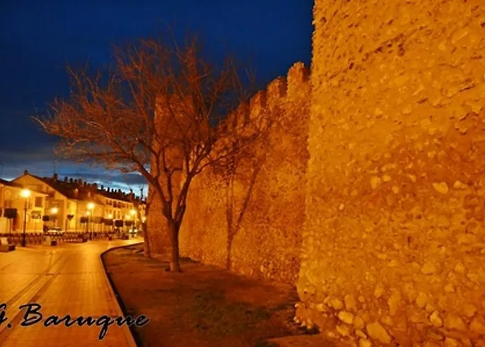 Holiday home La Gala Olmedo